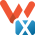 VX-Vision-Report-1